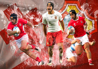 Tonga Player Graphics
