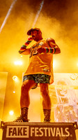 Band 5 Really Hot Chili Peppers